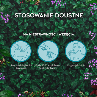 Amol, płyn doustny i na skórę, 100 ml KRÓTKA DATA - 6 - zdjęcie produktu