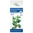 Intractum Melissae Phytopharm 4,575 g/ 5 ml, płyn doustny, 100 ml