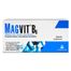 Magvit B6 48 mg + 5 mg, 50 tabletek dojelitowych- miniaturka 2 zdjęcia produktu