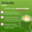 Ginkofar Forte 80 mg, 60 tabletek powlekanych- miniaturka 4 zdjęcia produktu