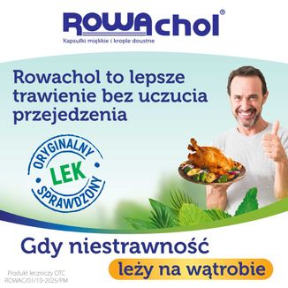 Rowachol, 50 kapsułek miękkich - 2 - zdjęcie produktu