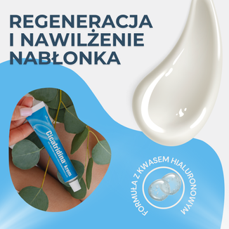 Cicatridina krem, sól sodowa kwasu hialuronowego, 30 g - 2 - zdjęcie produktu