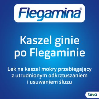Flegamina Classic o smaku malinowym 4 mg/ 5 ml, syrop, 200 ml - 4 Flegamina Classic o smaku malinowym 4 mg/ 5 ml, syrop, 200 ml - 4 - zdjęcie produktu
