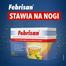 Febrisan (750 mg + 60 mg + 10 mg)/ 5 g, proszek musujący, 12 saszetek- miniaturka 4 zdjęcia produktu