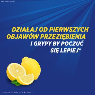 Theraflu Zatoki 650 mg + 10 mg, proszek do sporządzania roztworu doustnego, 14 saszetek - 5 - zdjęcie produktu