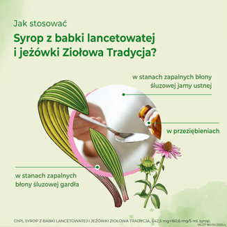 Ziołowa Tradycja Syrop z babki lancetowatej i jeżówki (642,5 mg + 160,6 mg)/5 ml, 125 g - 4 - zdjęcie produktu