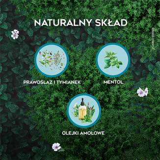 AMOLowe na Gardło, ziołowe pastylki do ssania, 16 sztuk - 5 - zdjęcie produktu