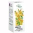 Intractum Hyperici Phytopharm 4,65 g/ 5 ml, płyn doustny, 100 ml USZKODZONE OPAKOWANIE