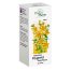 Intractum Hyperici Phytopharm 4,65 g/ 5 ml, płyn doustny, 100 ml USZKODZONE OPAKOWANIE- miniaturka 2 zdjęcia produktu