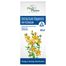 Intractum Hyperici Phytopharm 4,65 g/ 5 ml, płyn doustny, 100 ml USZKODZONE OPAKOWANIE