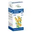 Intractum Hyperici Phytopharm 4,65 g/ 5 ml, płyn doustny, 100 ml- miniaturka 2 zdjęcia produktu