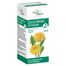 Succus Taraxaci Phytopharm 4,85 g/ 5 ml, płyn doustny, 100 ml- miniaturka 2 zdjęcia produktu