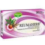 Reumaherb 100 mg, 30 tabletek powlekanych - miniaturka zdjęcia produktu