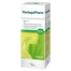 PlantagoPharm 506 mg/5 ml, syrop, 200 ml