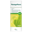 PlantagoPharm 506 mg/5 ml, syrop, 200 ml- miniaturka 3 zdjęcia produktu