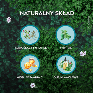 AMOLowe na Gardło, ziołowe pastylki do ssania z miodem i witaminą C, 16 sztuk - 5 - zdjęcie produktu