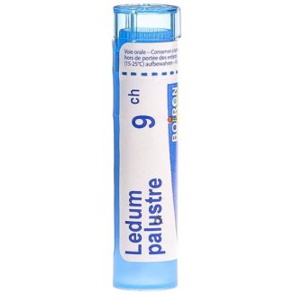 Boiron Ledum palustre 9 CH, granulki, 4 g - zdjęcie produktu