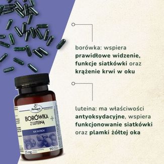 Herbapol Borówka z Luteiną+, 90 kapsułek - 2 - zdjęcie produktu