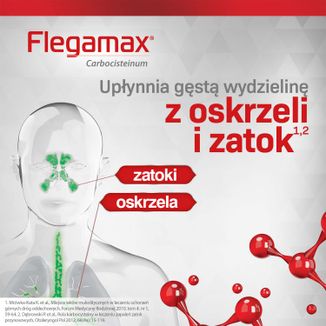Flegamax 50 mg/ ml, roztwór doustny, 200 ml USZKODZONE OPAKOWANIE - 4 - zdjęcie produktu