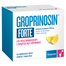 Groprinosin Forte 1000 mg, granulat do sporządzania roztworu doustnego, 10 saszetek- miniaturka 2 zdjęcia produktu
