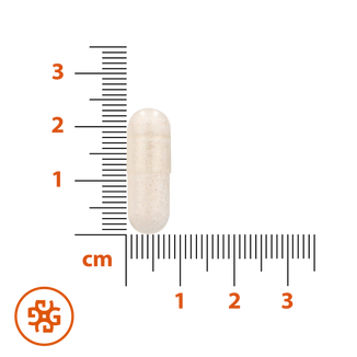 SEMA Lab Maślan Sodu Max 300 mg, 60 kapsułek o opóźnionym uwalnianiu - 6 - zdjęcie produktu