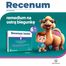 Recenum Junior, 30 mg, granulat do sporządzania zawiesiny doustnej, powyżej 6 lat, 10 saszetek- miniaturka 6 zdjęcia produktu