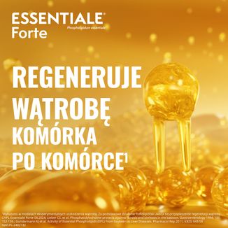 Essentiale Forte 300 mg, 90 kapsułek - 3 - zdjęcie produktu