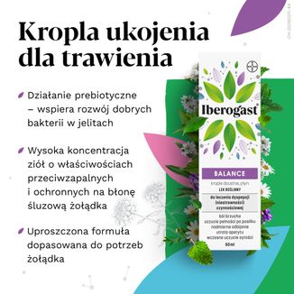 Iberogast Balance, krople, 50 ml - 4 - zdjęcie produktu