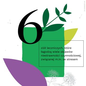 Iberogast Balance, krople, 50 ml - 8 - zdjęcie produktu