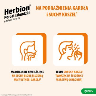 Herbion Porost Islandzki 3 mg, 24 pastylki twarde - 3 - zdjęcie produktu