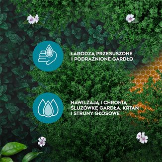 AMOLowe na Gardło, ziołowe pastylki do ssania z miodem i witaminą C, 16 pastylek do ssania - 6 - zdjęcie produktu