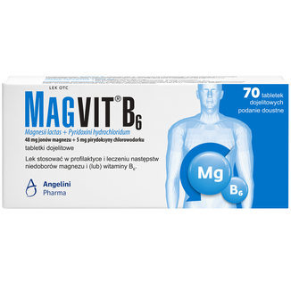 Magvit B6 48 mg + 5 mg, 70 tabletek dojelitowych - zdjęcie produktu