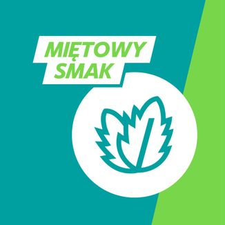 Gaviscon o smaku mięty Tab 250 mg + 133,5 mg + 80 mg, 48 tabletek do rozgryzania i żucia - 6 - zdjęcie produktu