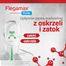 Flegamax Forte 2,7g, 6 saszetek- miniaturka 4 zdjęcia produktu