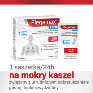 Flegamax Forte 2,7g, 6 saszetek - 3 - zdjęcie produktu
