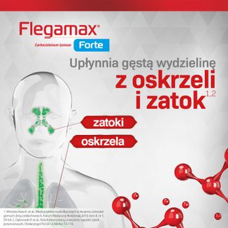 Flegamax Forte 2,7g, 6 saszetek - 4 - zdjęcie produktu