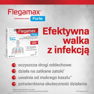 Flegamax Forte 2,7g, 6 saszetek - 5 - zdjęcie produktu