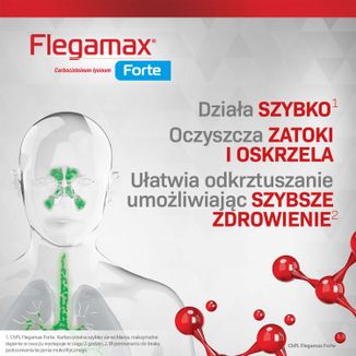 Flegamax Forte 2,7g, 6 saszetek - 7 - zdjęcie produktu