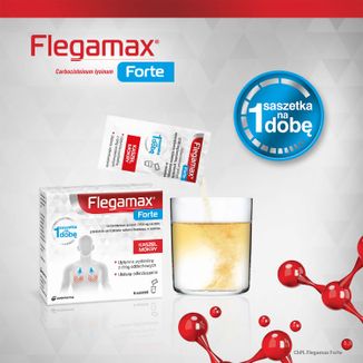 Flegamax Forte 2,7g, 6 saszetek - 8 - zdjęcie produktu