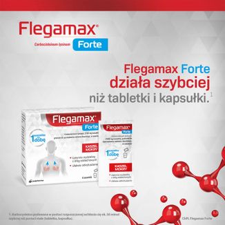 Flegamax Forte 2,7g, 6 saszetek - 9 - zdjęcie produktu