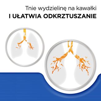 Strepsils na kaszel 375 mg, 20 kapsułek twardych - 4 - zdjęcie produktu