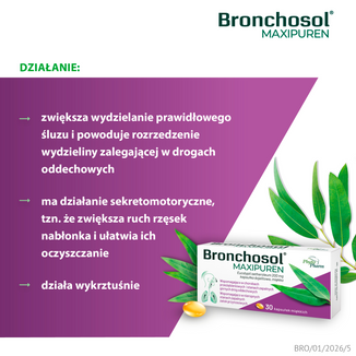 Bronchosol Maxipuren 200 mg, 30 kapsułek dojelitowych miękkich - 8 - zdjęcie produktu
