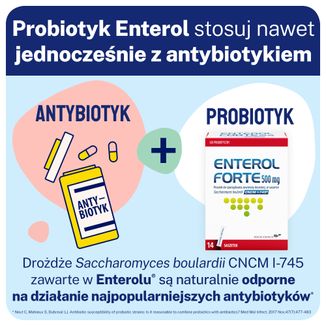 Enterol Forte 500 mg, 14 saszetek - 7 - zdjęcie produktu