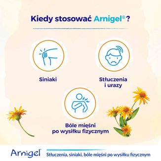 Boiron Arnigel, żel, 120 g KRÓTKA DATA - 3 - zdjęcie produktu