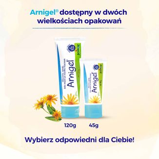 Boiron Arnigel, żel, 120 g - 5 - zdjęcie produktu