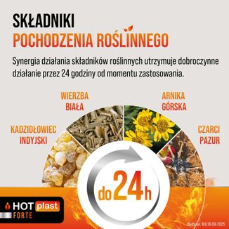 Hot Plast Forte, plaster rozgrzewający, rozmiar XL, 12 cm x 18 cm, 1 sztuka - 3 - zdjęcie produktu