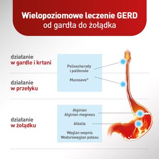 Mucoref Alugastrin, 15 ml x 14 saszetek - 4 - zdjęcie produktu