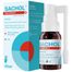 Sachol Fast Effect, na afty i aftowe zapalenie jamy ustnej, spray, 20 ml