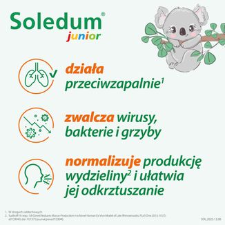 Soledum Junior 100 mg, 20 kapsułek KRÓTKA DATA - 4 - zdjęcie produktu