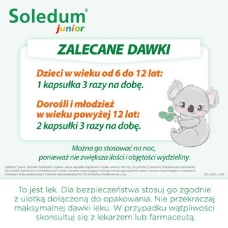 Soledum Junior 100 mg, 20 kapsułek - 6 - zdjęcie produktu